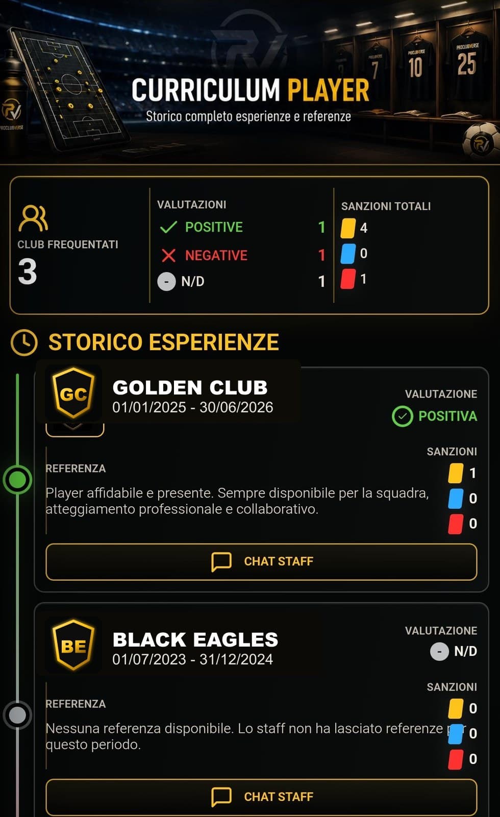 Preview curriculum player con storico esperienze